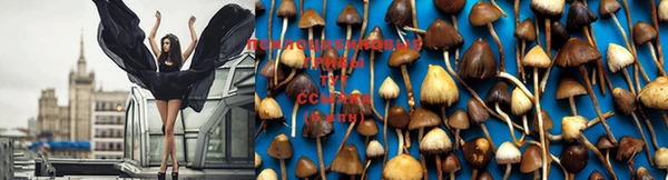 круглые Зерноград