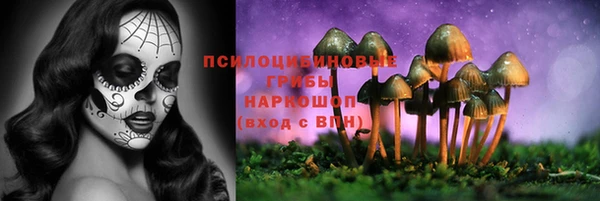 spice Зеленодольск