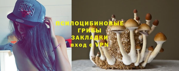 spice Зеленодольск